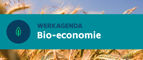 werkagenda bio-economie